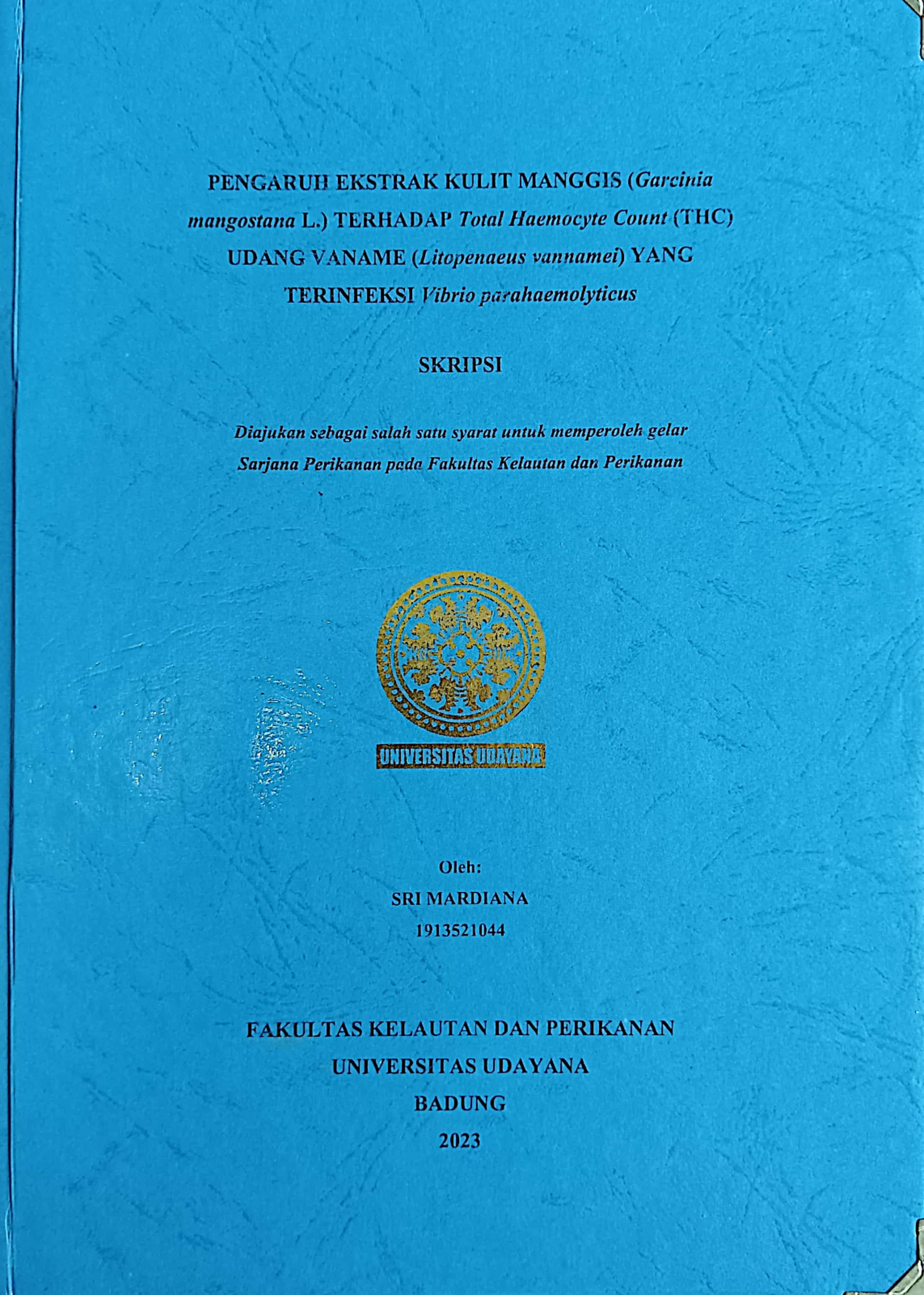 20240725001907_Sri Mardiana.jpg
